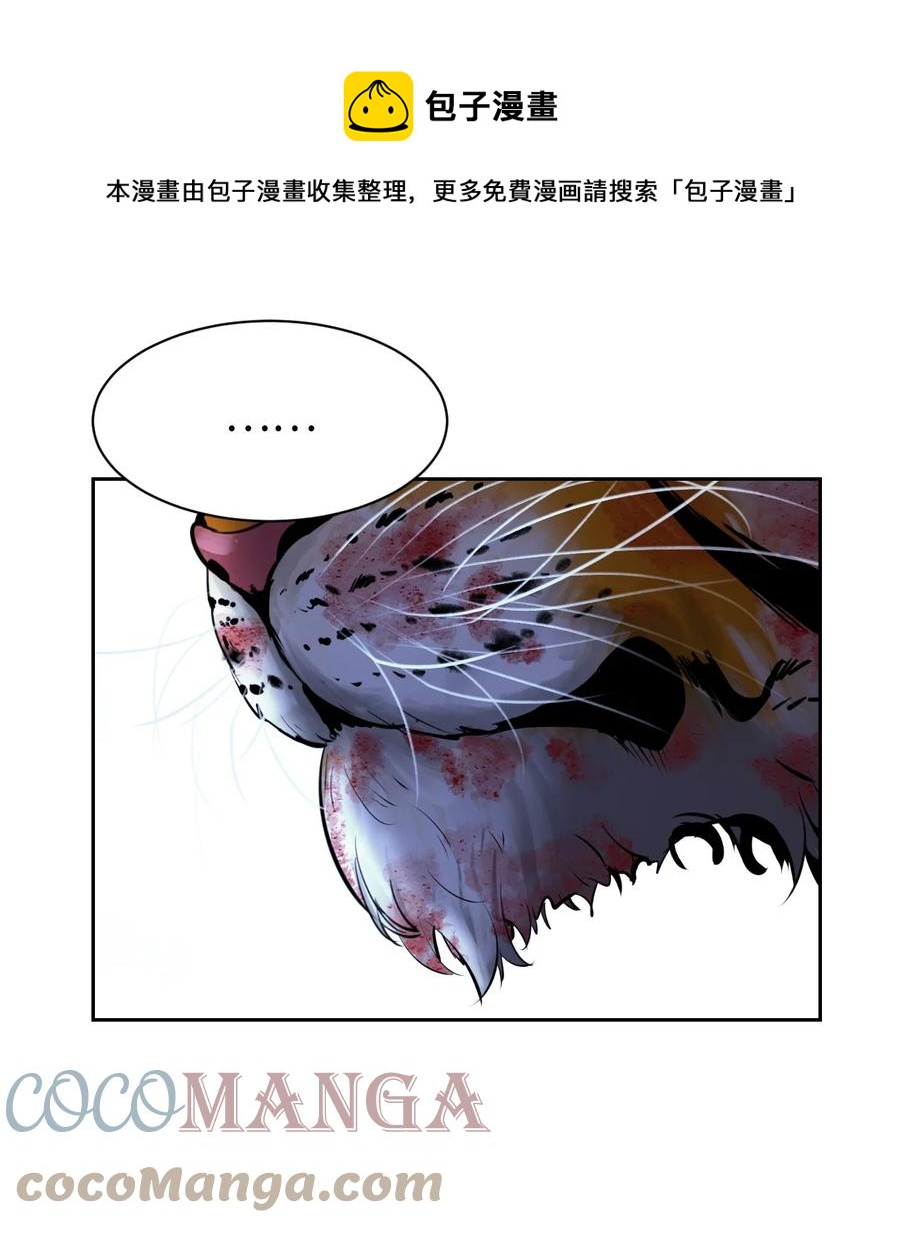 13 与虎同行92