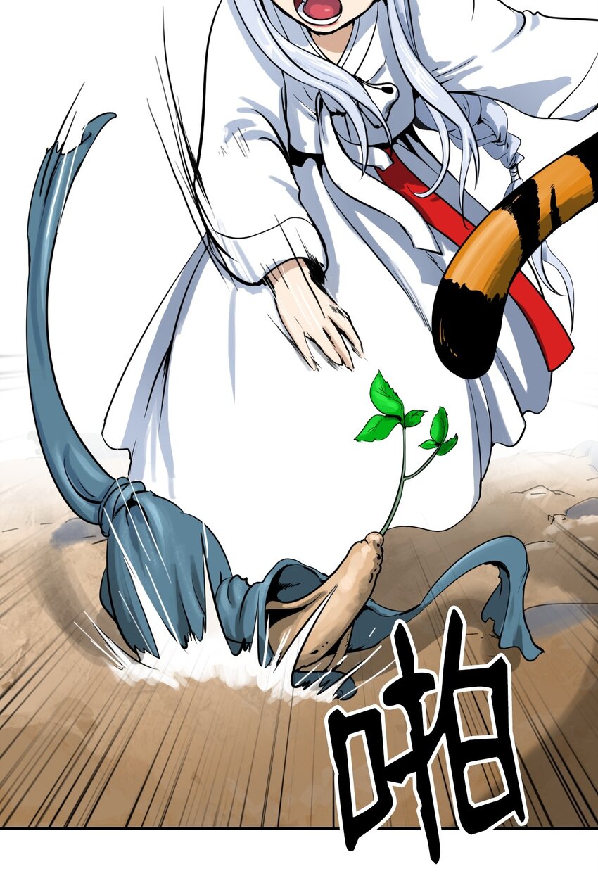 03 名贵山参19