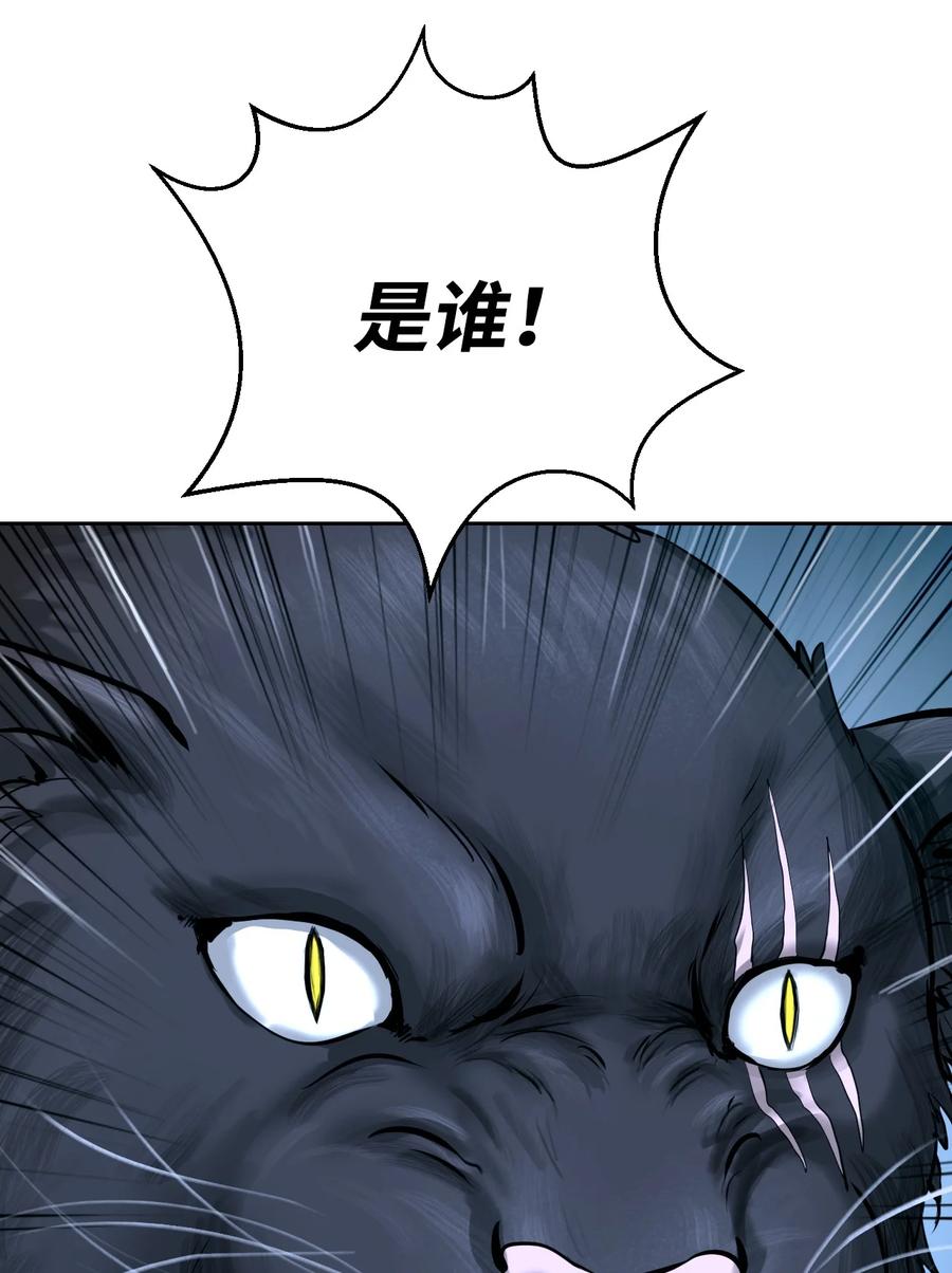 13 与虎同行47