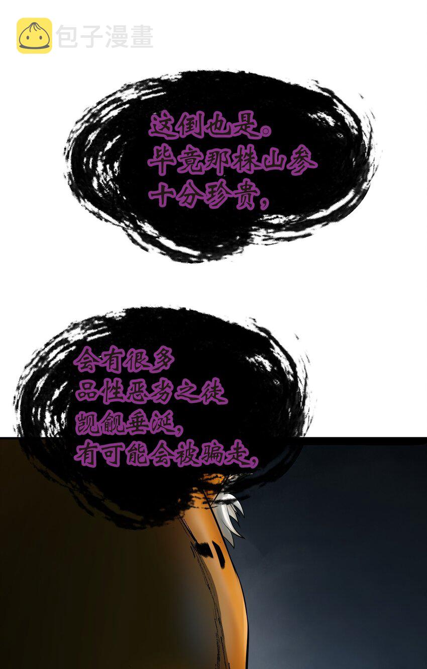 03 名贵山参60