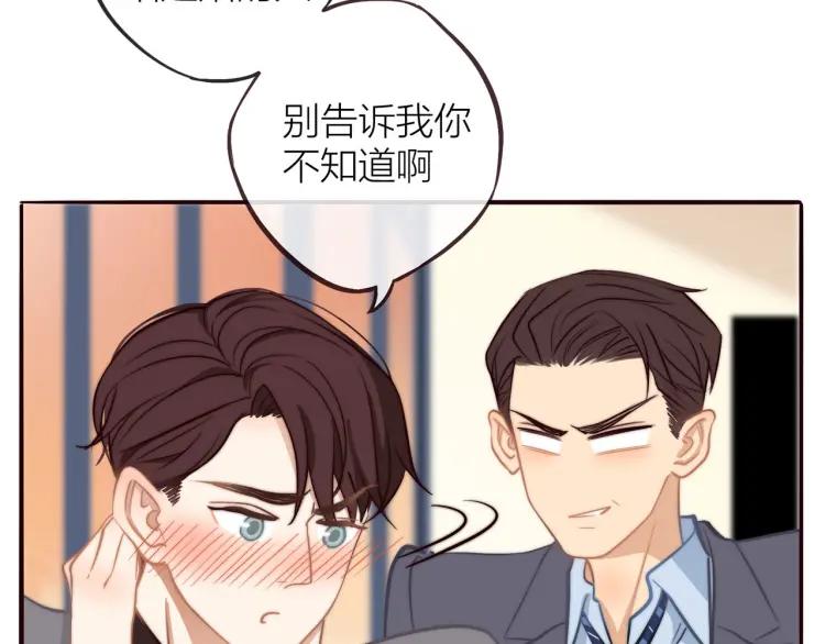 第36话 再遇前任？10