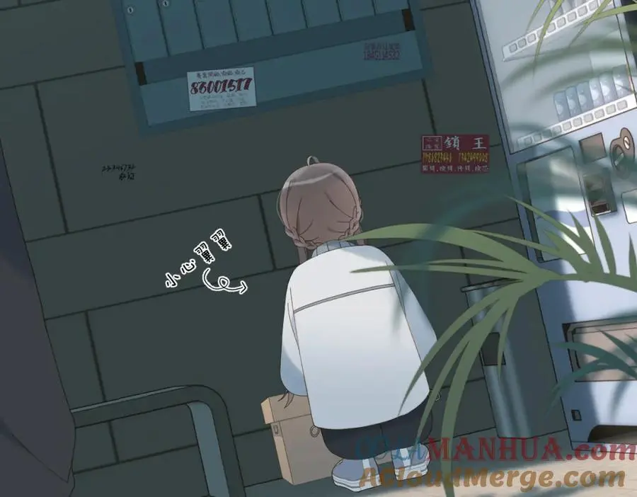 第71话 小奶猫63