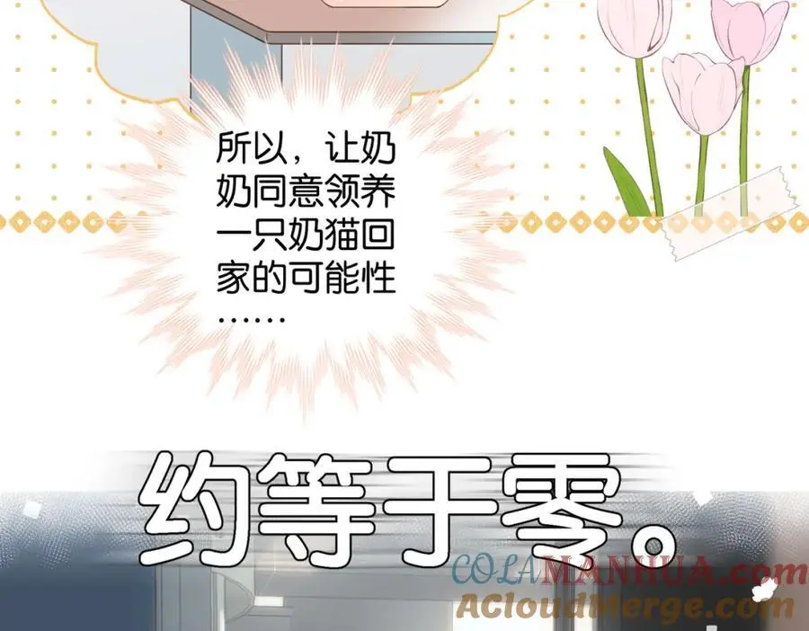第71话 小奶猫78