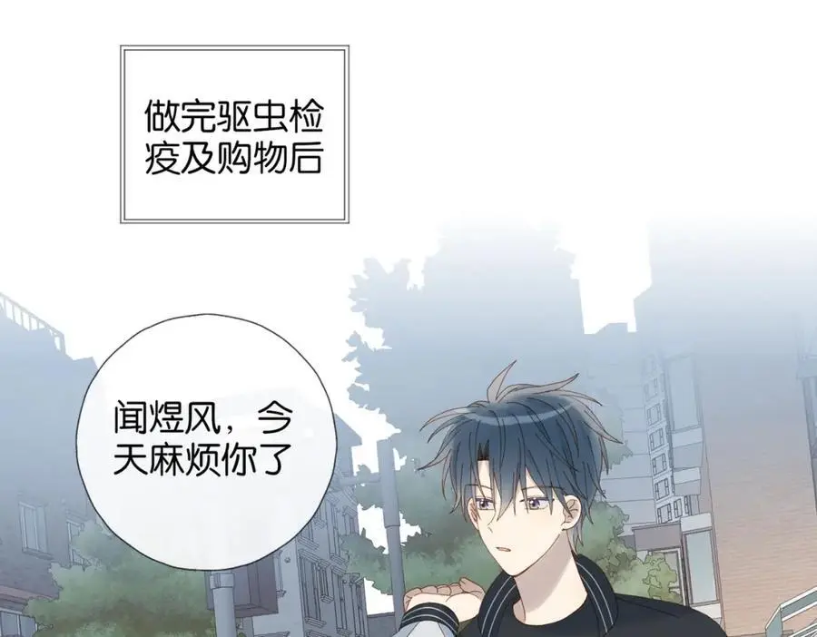 第72话 不必遗憾19