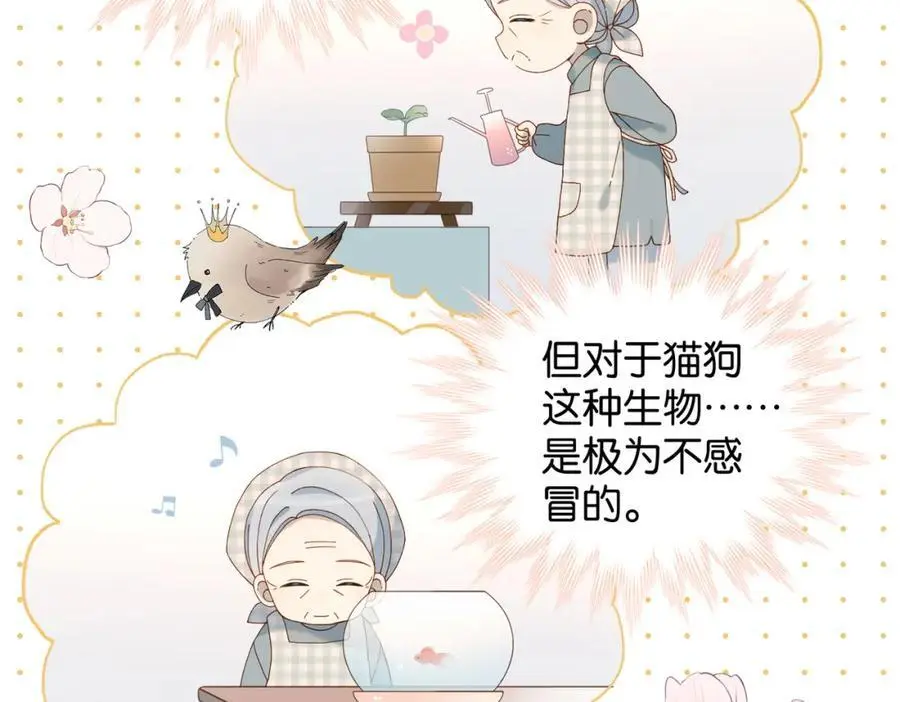 第71话 小奶猫77