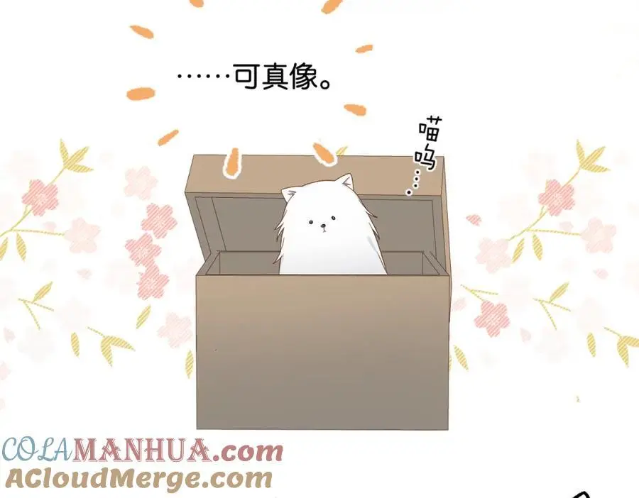 第72话 不必遗憾9