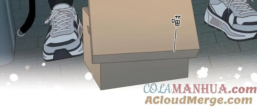 第71话 小奶猫69