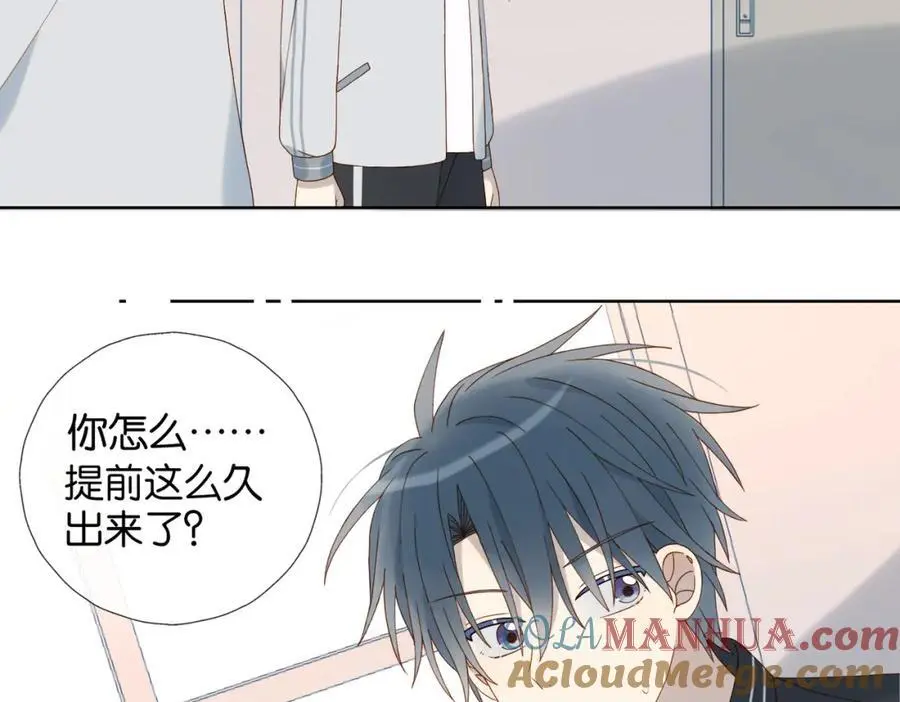 第71话 小奶猫24