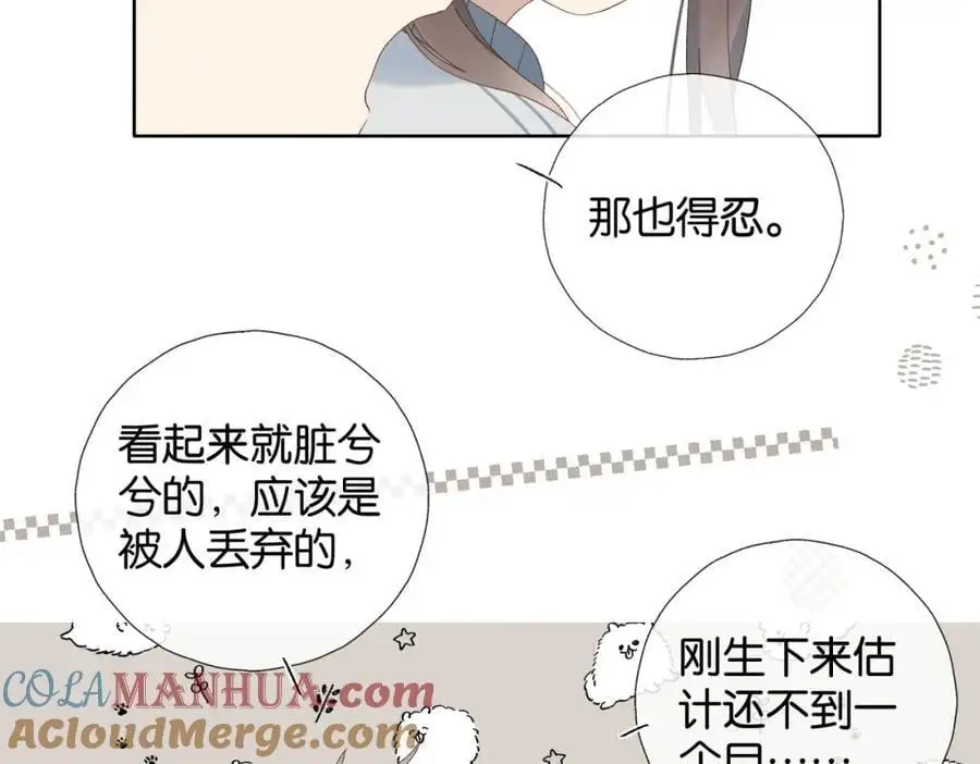 第71话 小奶猫72