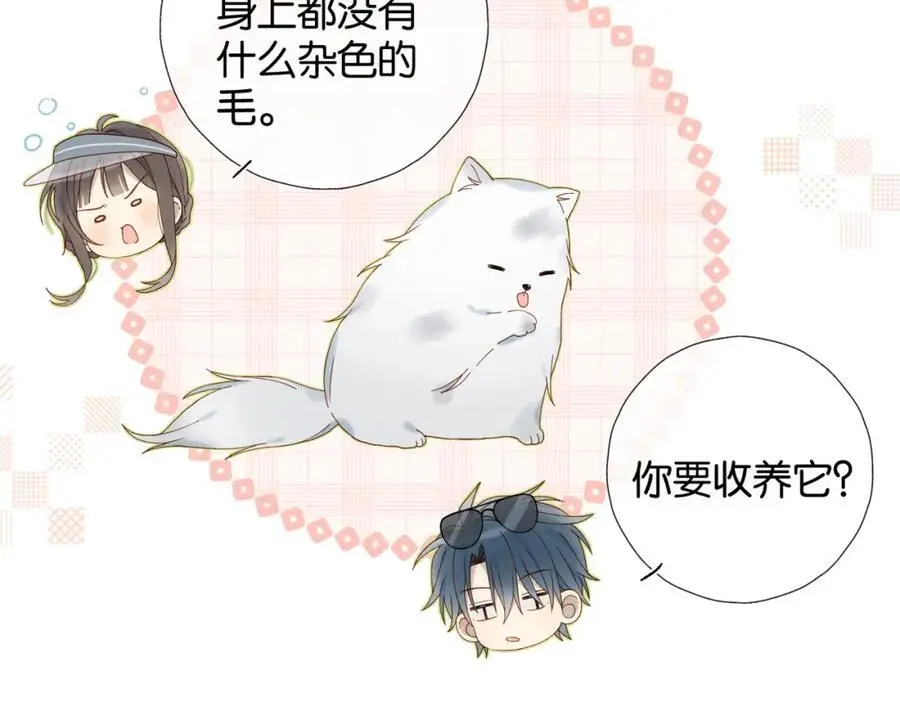 第71话 小奶猫74