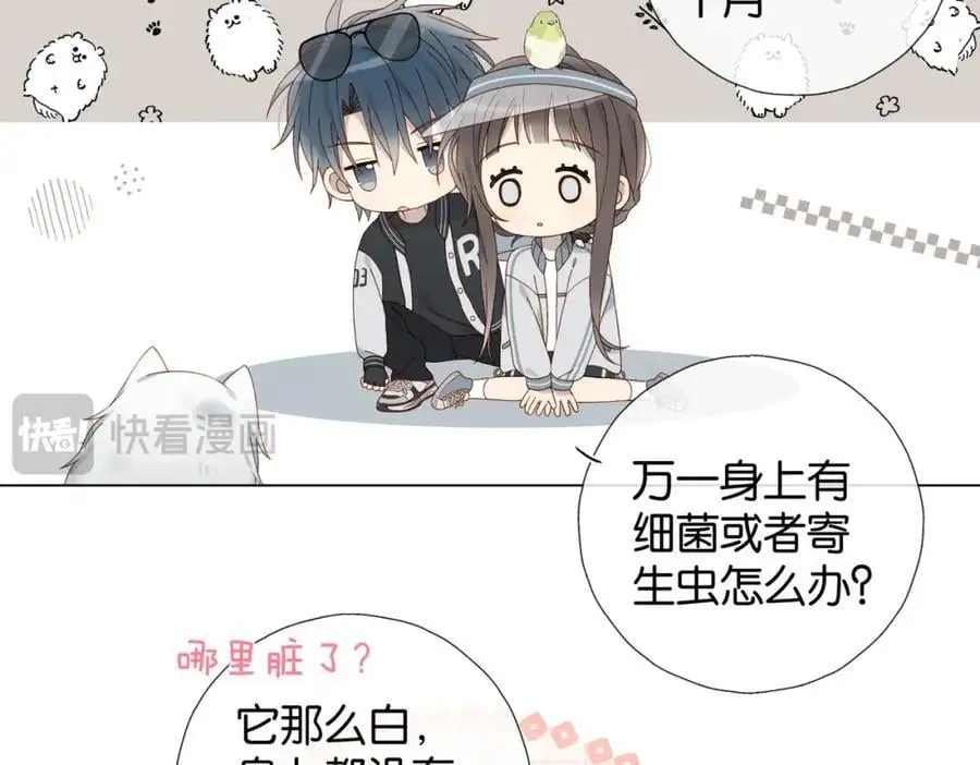 第71话 小奶猫73