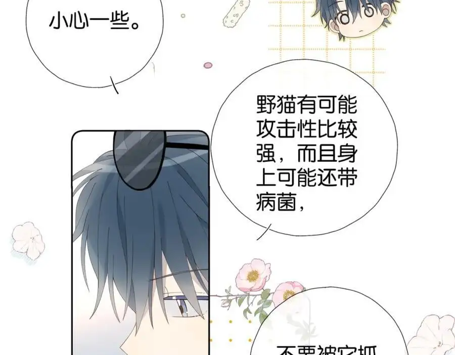 第71话 小奶猫58