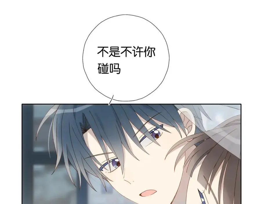 第71话 小奶猫70