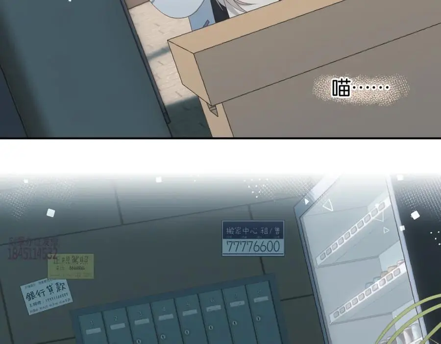 第71话 小奶猫62