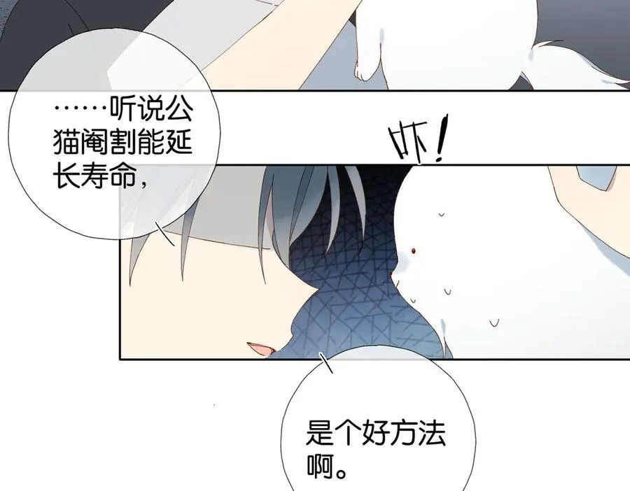 第88话 孤寡老人40