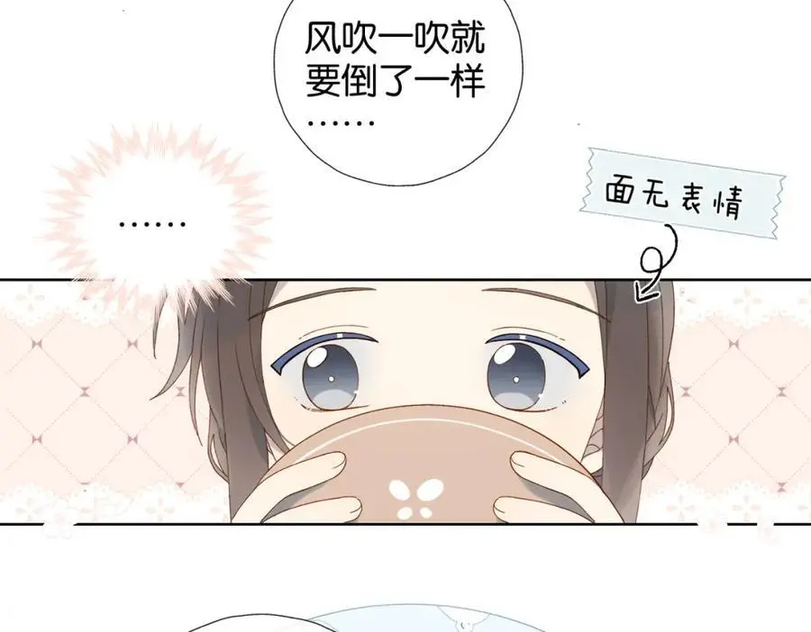 第71话 小奶猫14