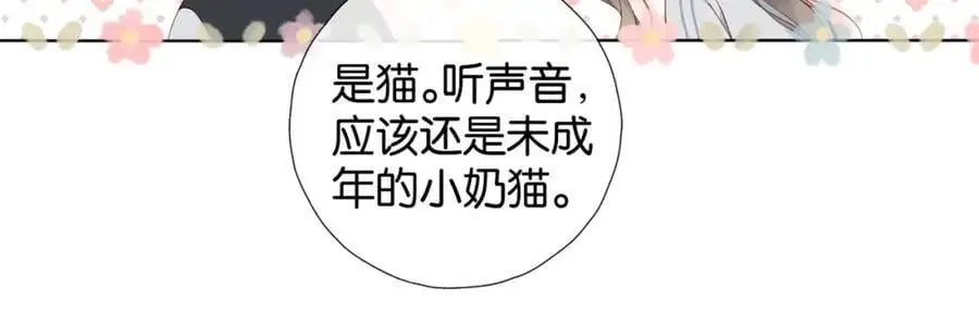 第71话 小奶猫56