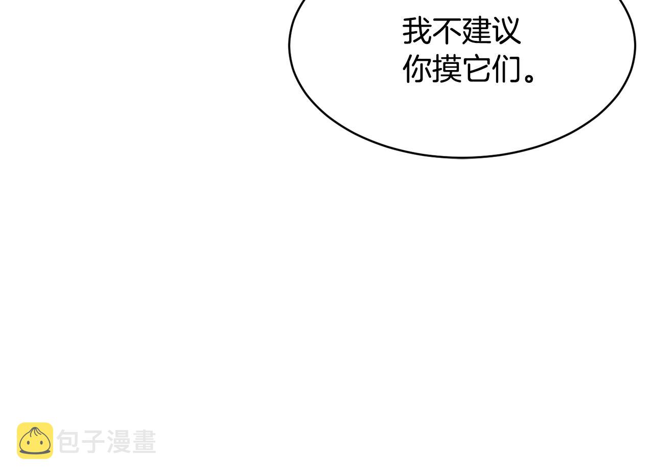 第64话 攻略地下城163