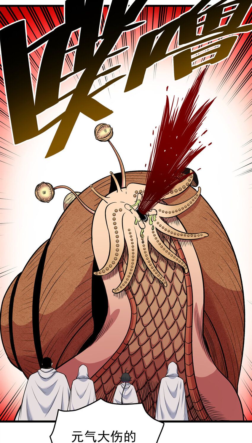 79 坐骑14