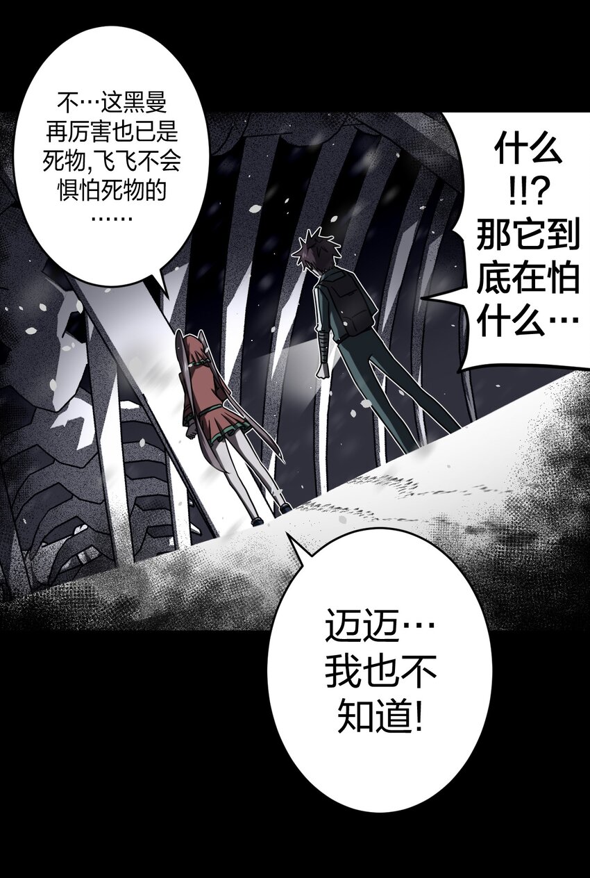 016 这世上真有龙？9