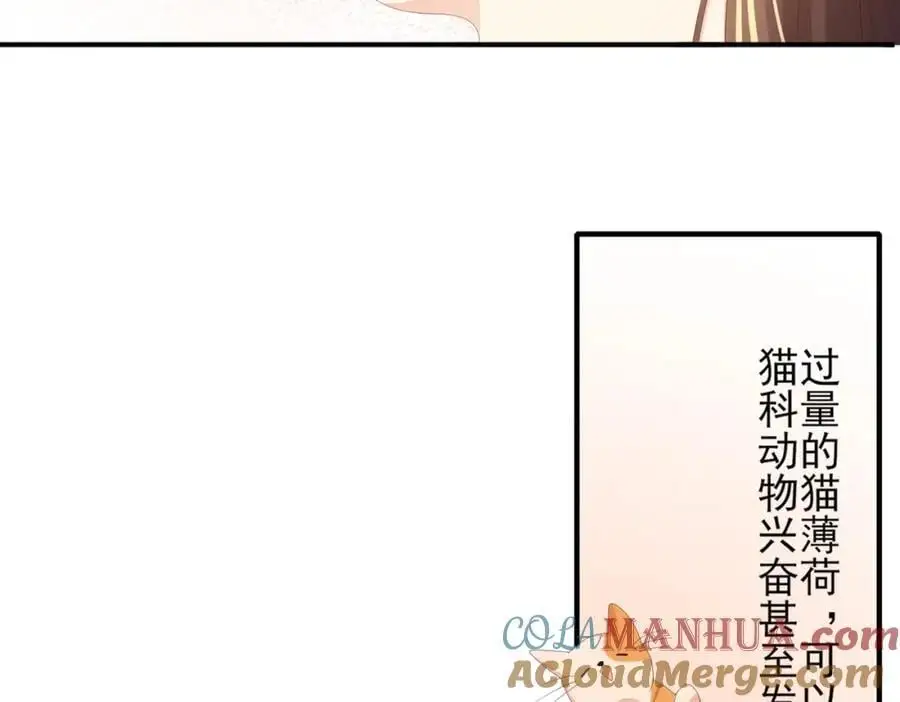 第134话 这个傻瓜8