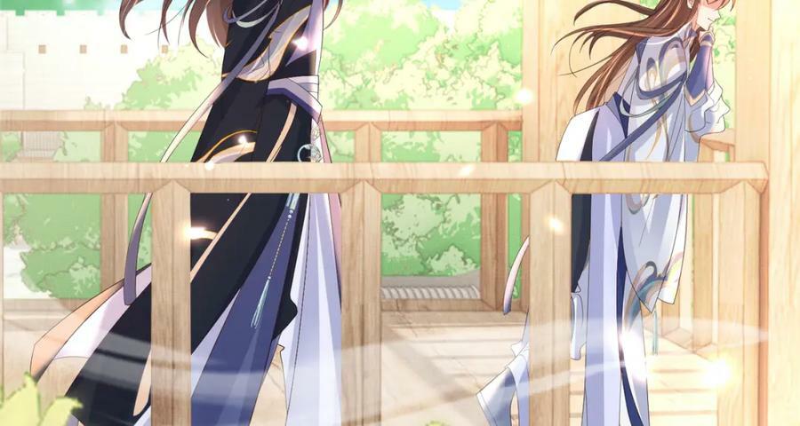 第102话 只能给王妃看17