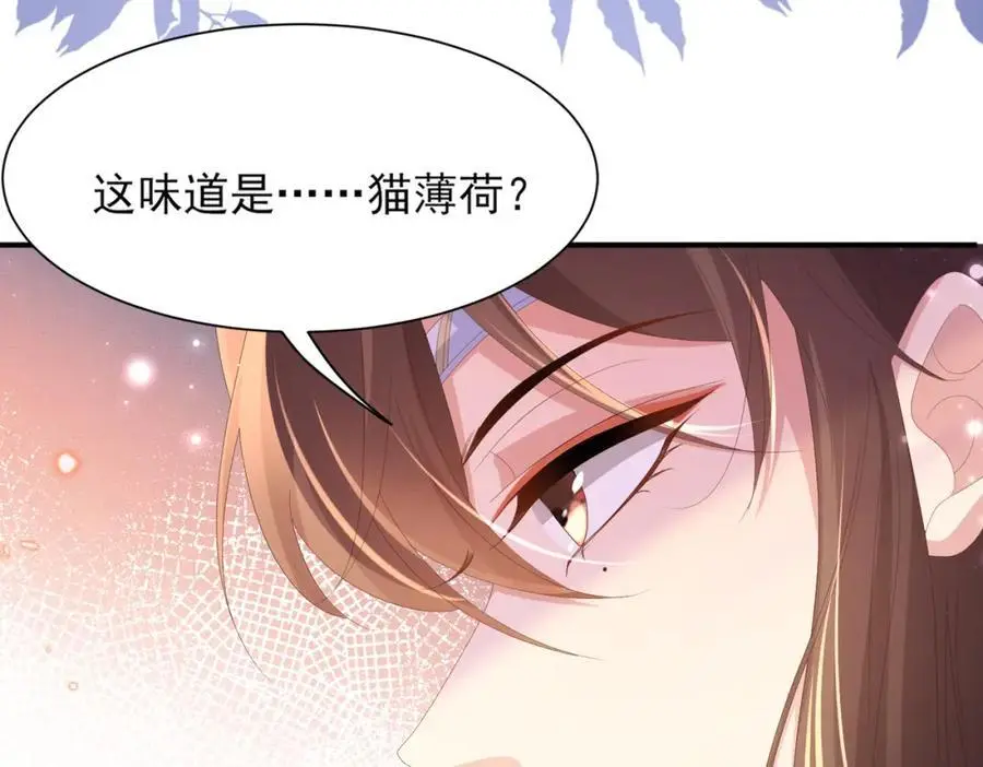 第134话 这个傻瓜7