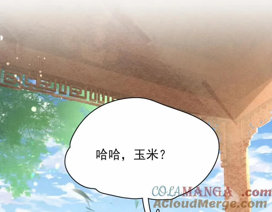 第170话 王妃买玉米做茶？12
