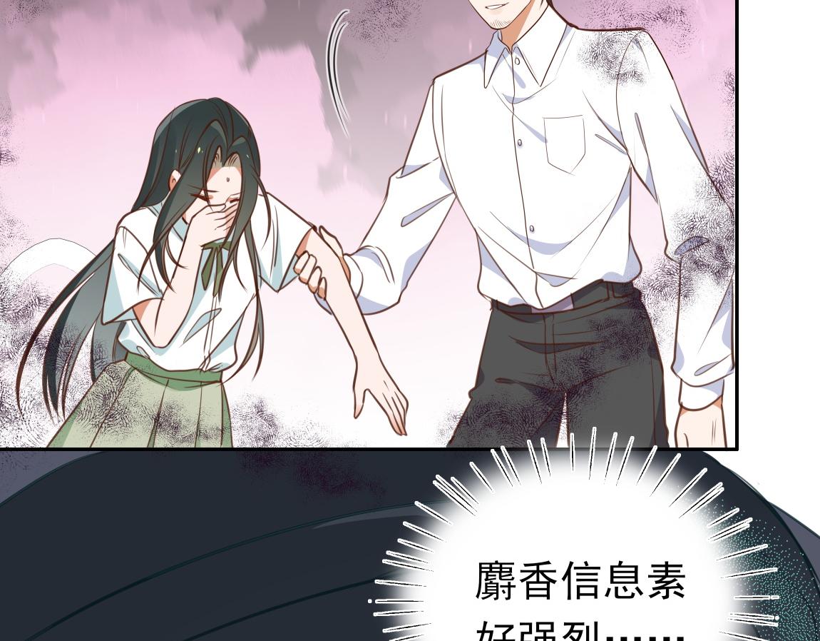 第6话 看穿5