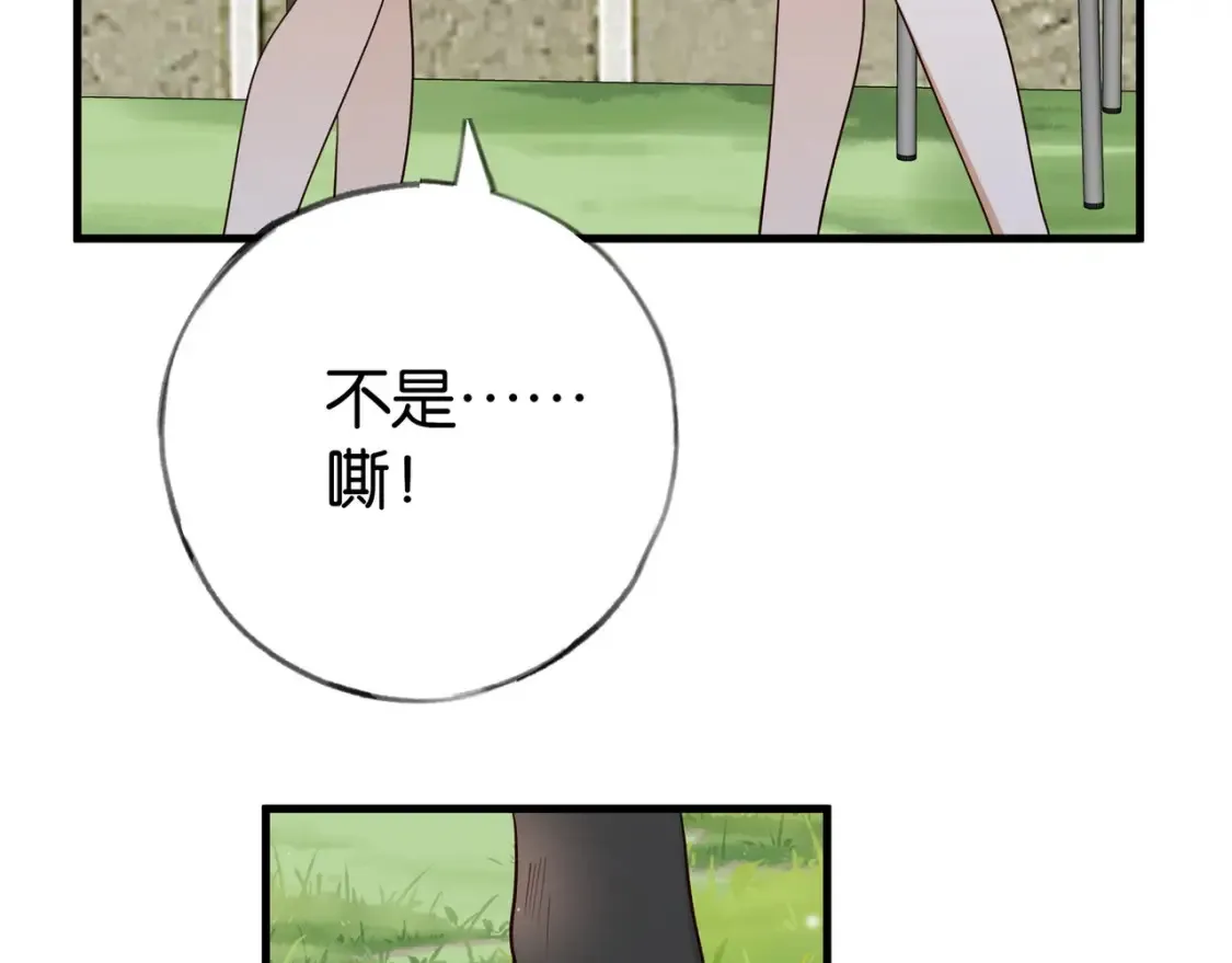 第84话 爆款云南白药15