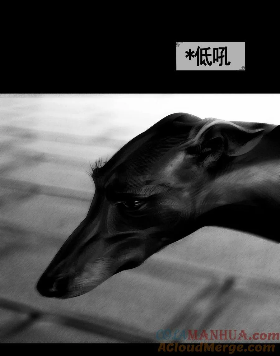 第46话 猫33