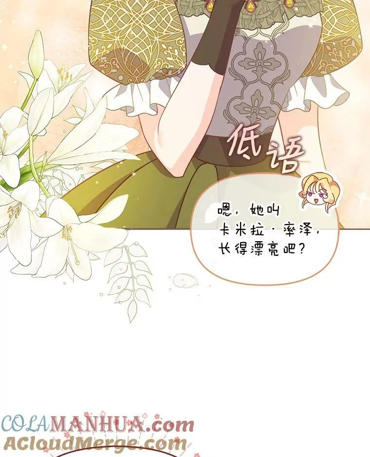 84.试探81