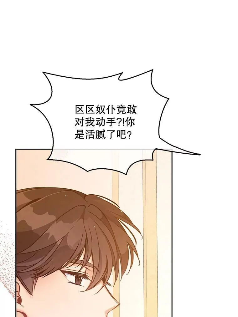 95.佣人和侍女66