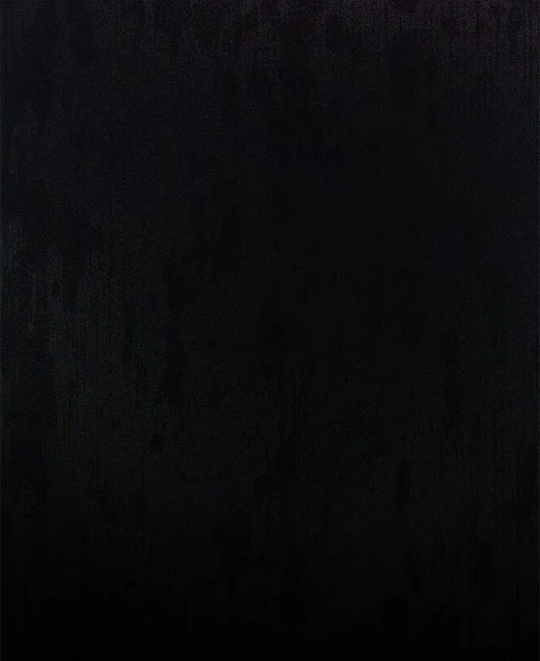 103.黑之圣女98