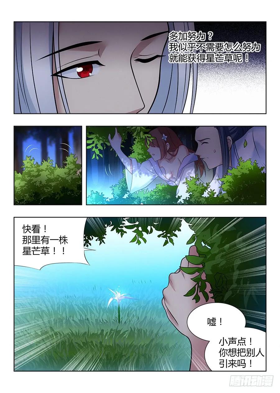 049星芒草里真的有星芒吗？2