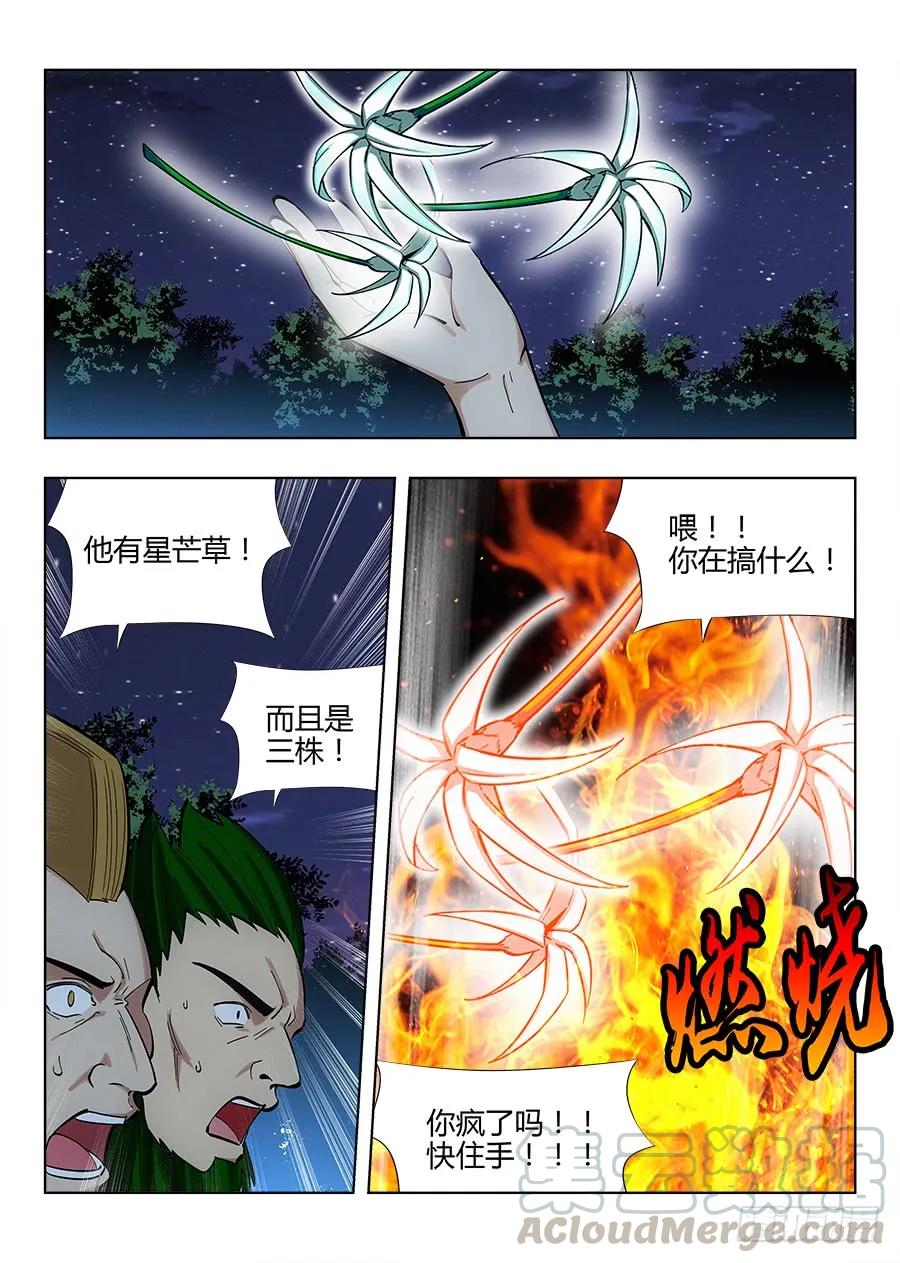 049星芒草里真的有星芒吗？15