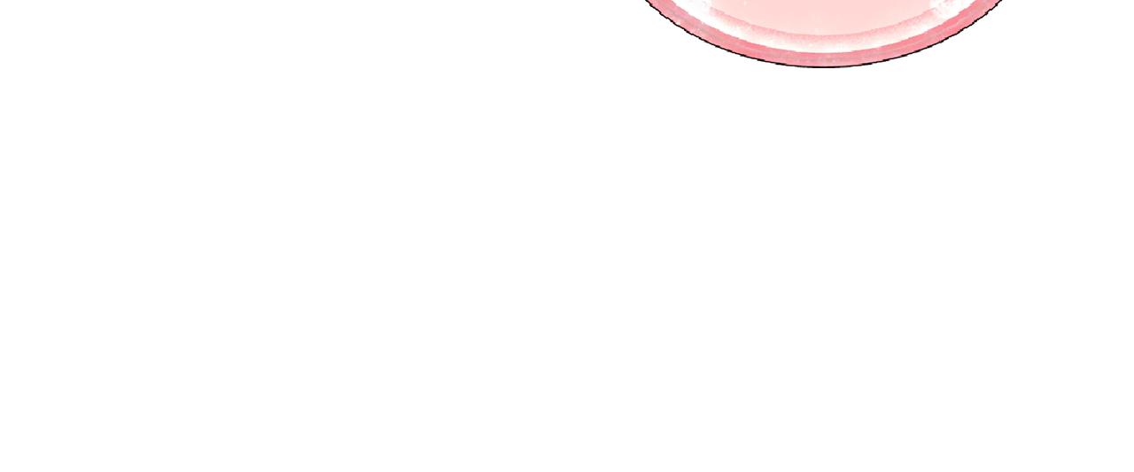 第47话 精灵王之战30
