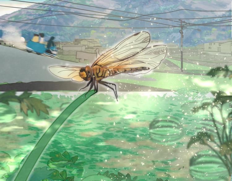 第37话夏天就是西瓜朋友和烟花89