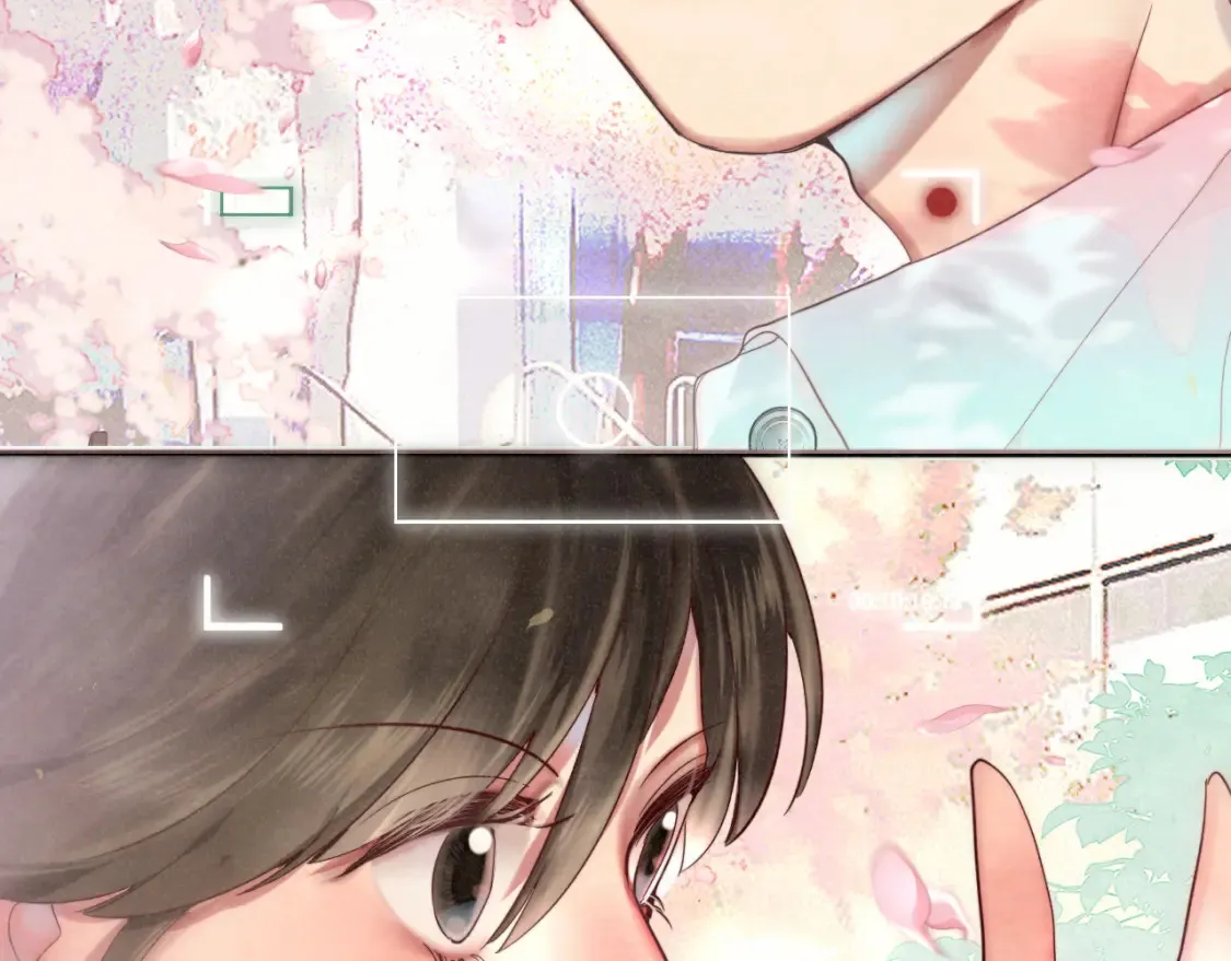 第116集炽热是青春的花语163