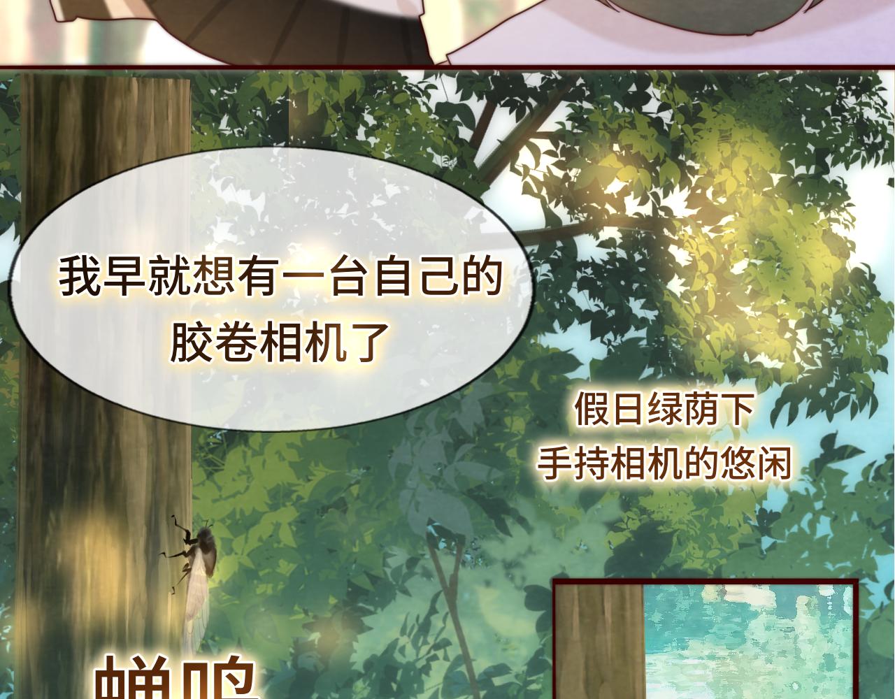 第60集 夏日野餐14