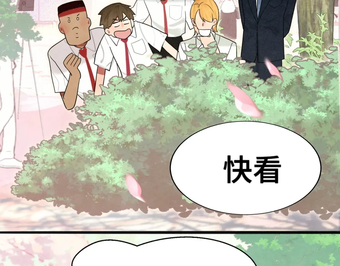 第116集炽热是青春的花语100