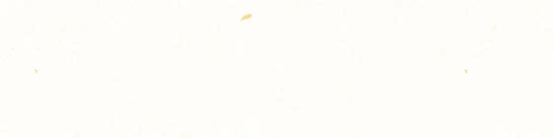 105月饼要吃正版的22