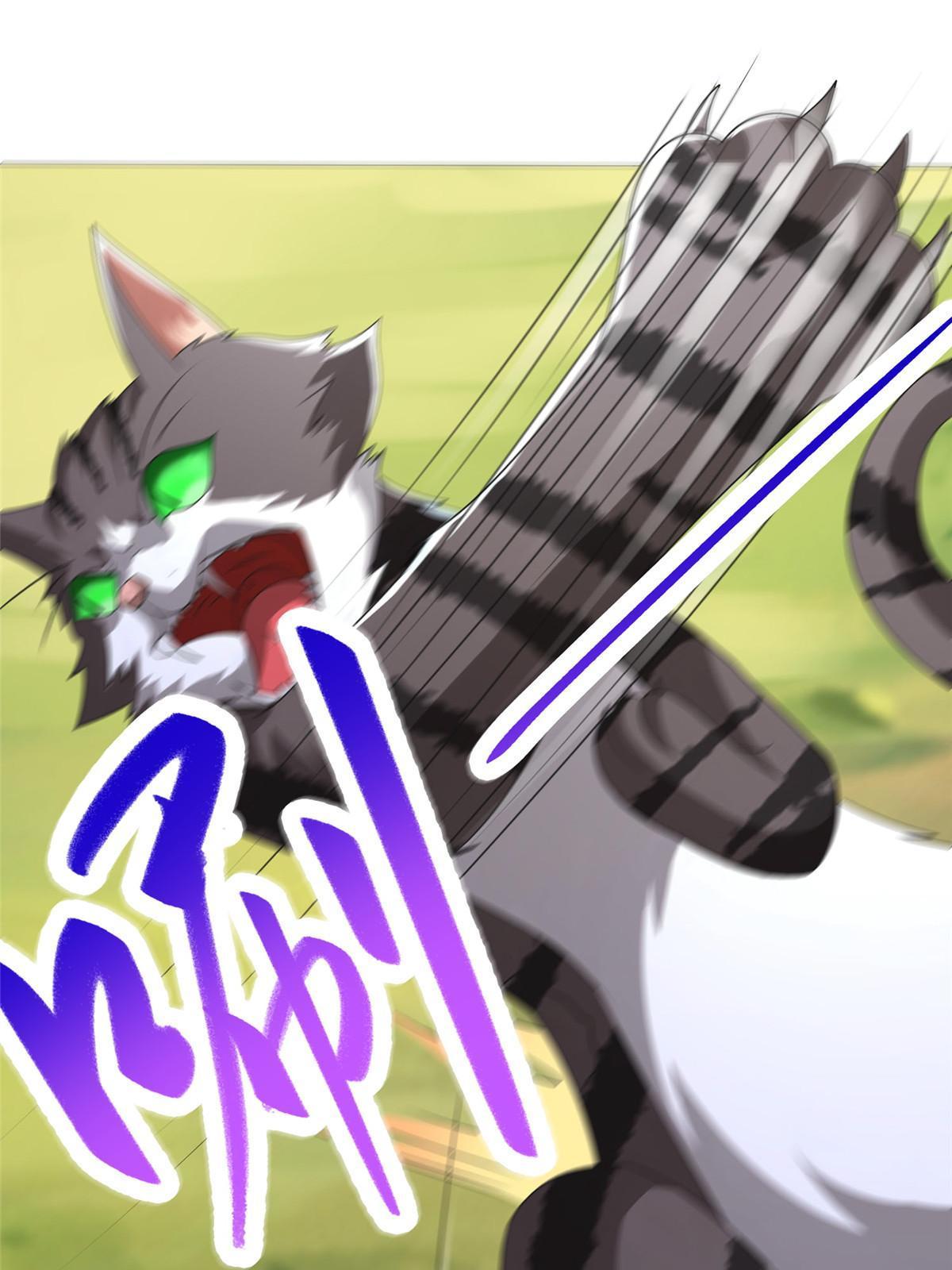172 孽兽花猫16