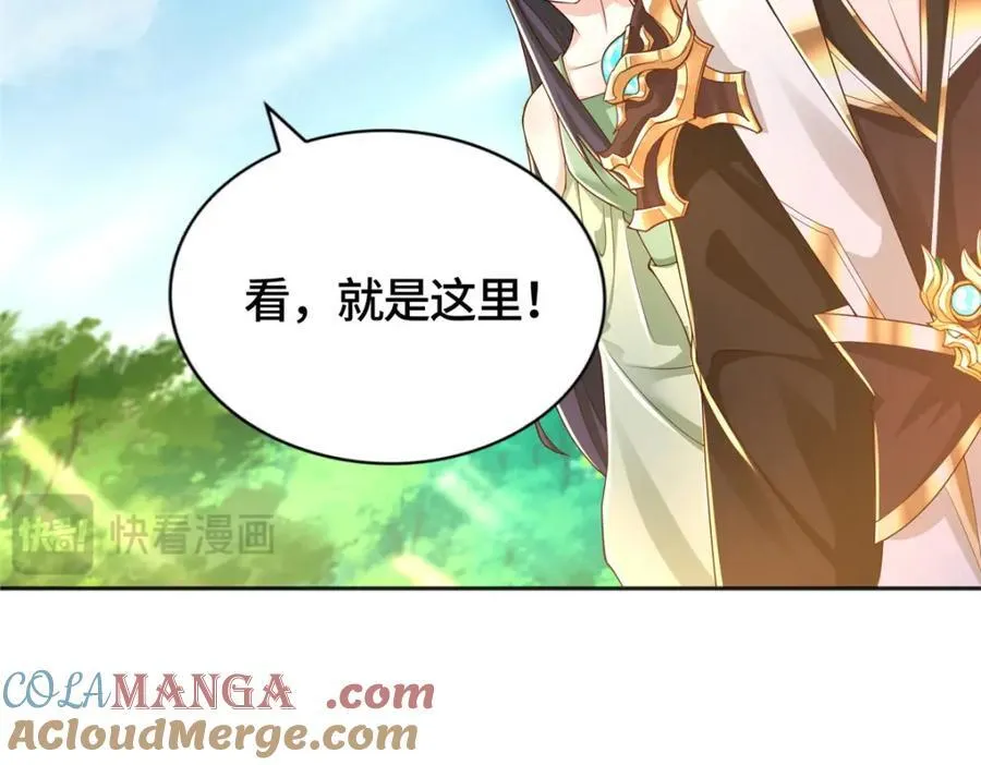 411养虎为患81