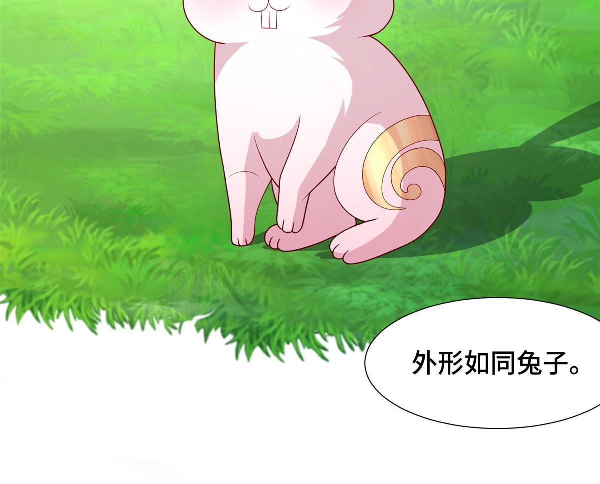 172 孽兽花猫34