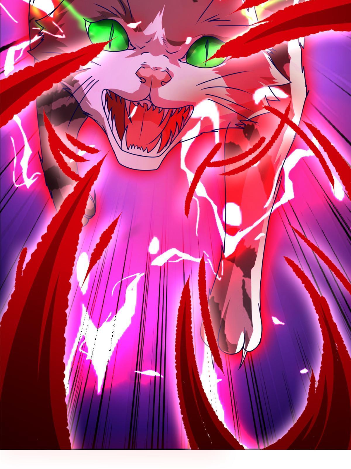 172 孽兽花猫7