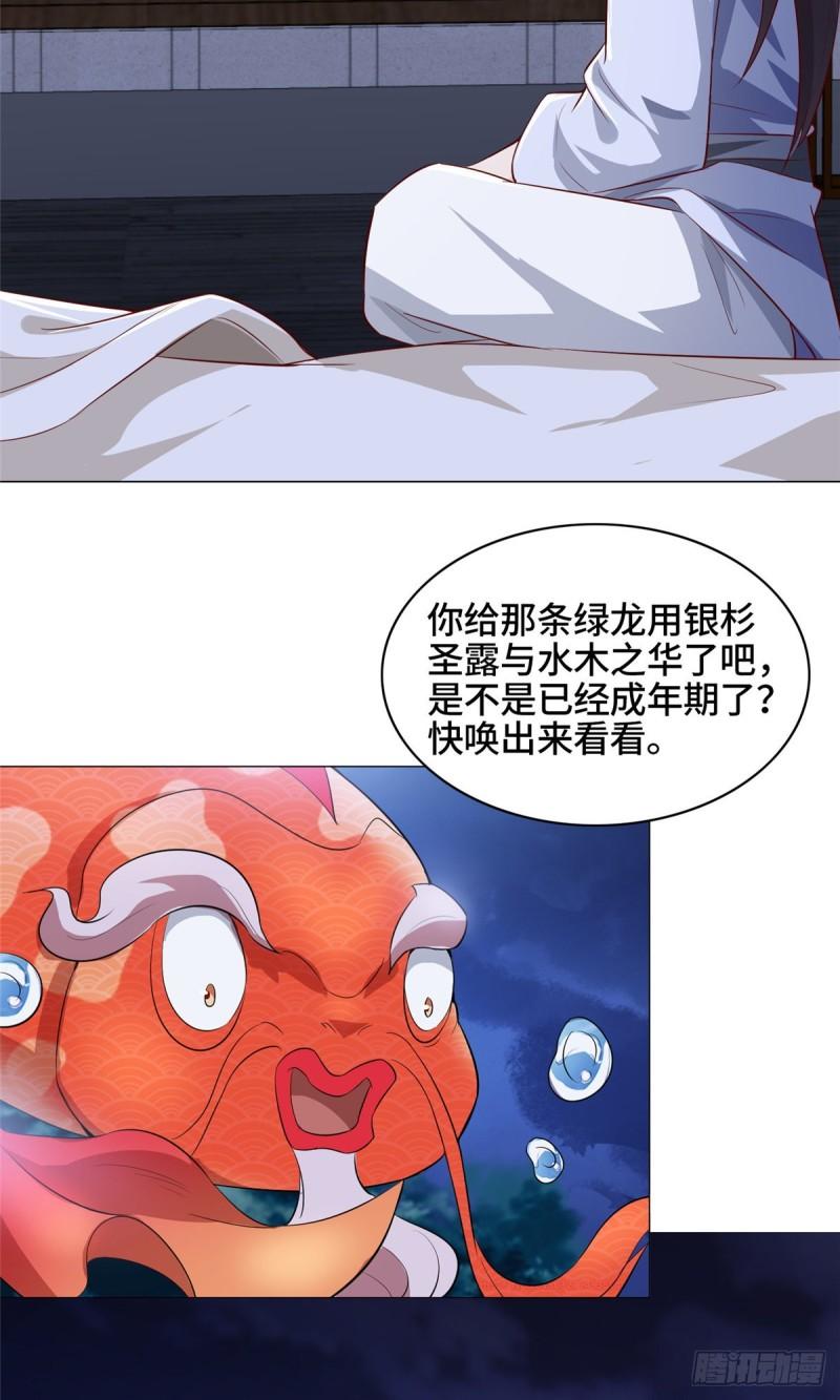 67 成年木龙11