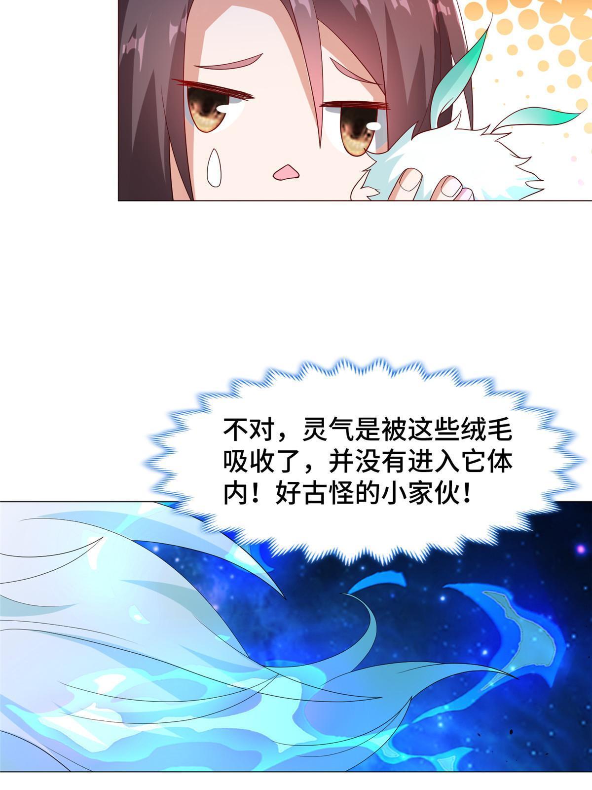 206 灵井小精灵40