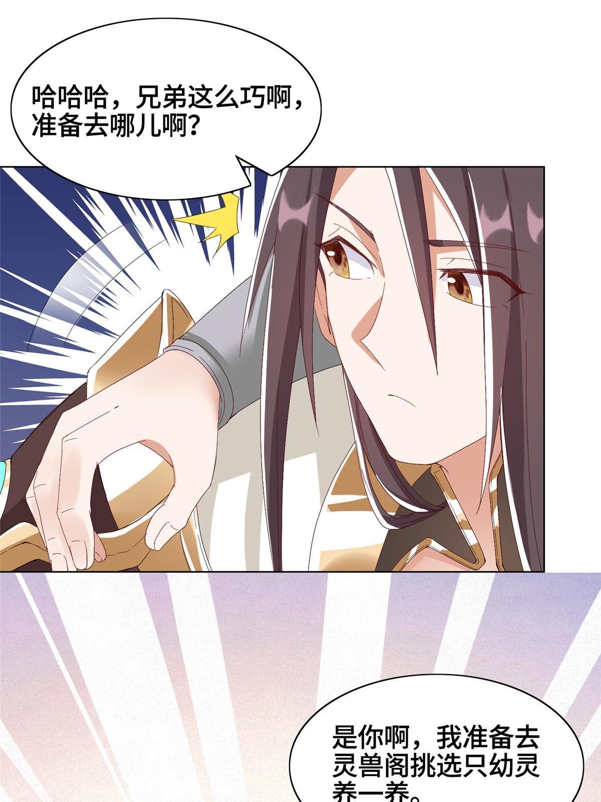204 审查通过43