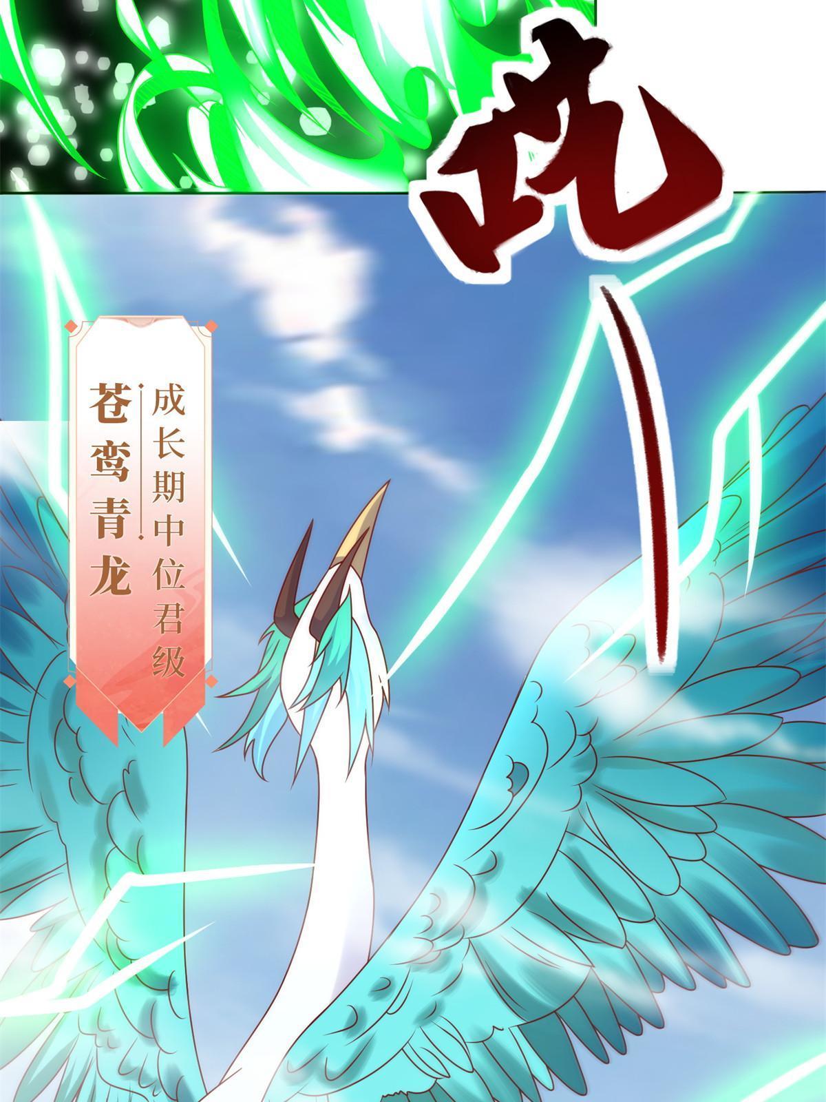 221 君级青龙42
